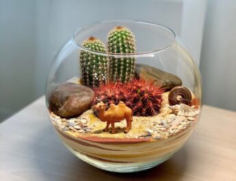 Cómo cultivar un minihuerto casero en un tarro de cristal y qué necesitas para ello