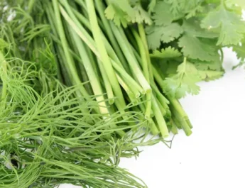 Cómo preservar las verduras frescas por más tiempo - en el refrigerador y sin
