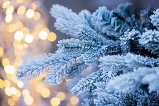 Cómo almacenar un árbol de Navidad artificial, de modo que el próximo año sea como nuevo