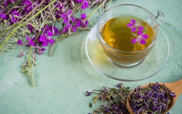 El té "Koporsky" es una bebida médica de cocina casera. Té de Ivan, Chipre. Características beneficiosas