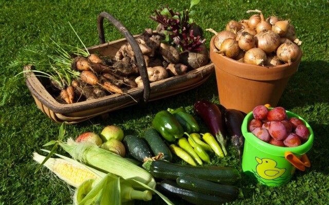 Cómo cosechar y guardar la cosecha de verduras