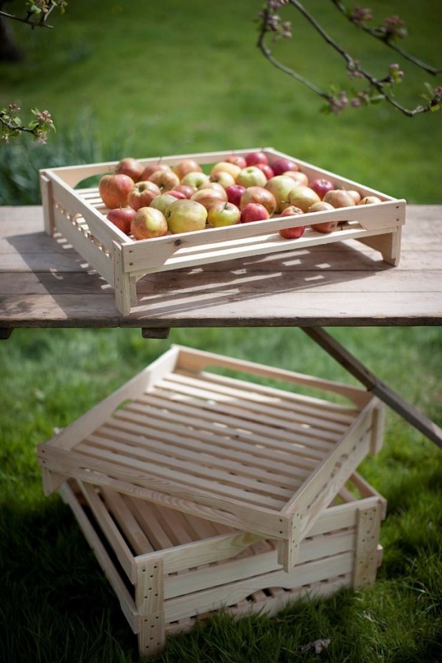 ¿Cómo cosechar y mantener un yab de manzanas? ¿Cuándo disparar? Para el invierno