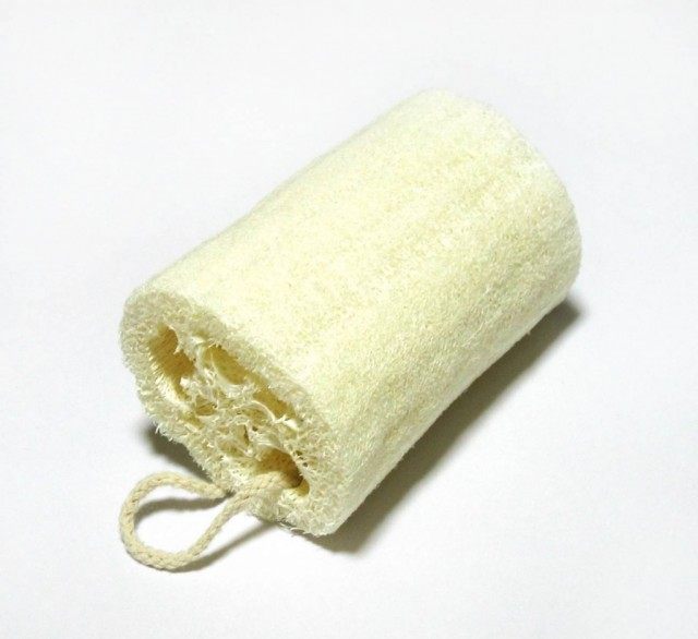 Luff es una toallita natural. Descripción, creciendo a partir de semillas. Uso, foto