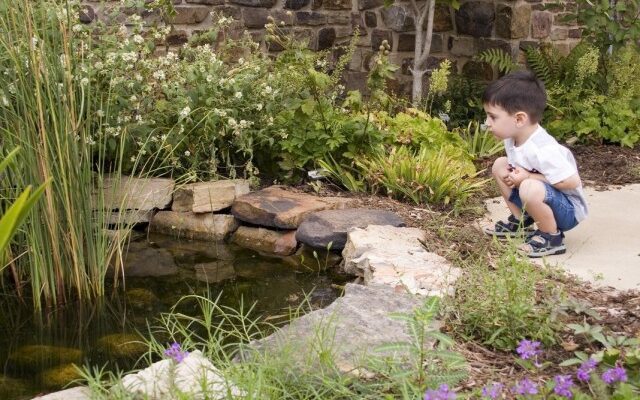 ¿Cómo hacer que un estanque sea seguro para los niños?