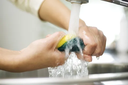 Esponjas, trapos y cepillo para el inodoro: ¿lavarlo o tirarlo?