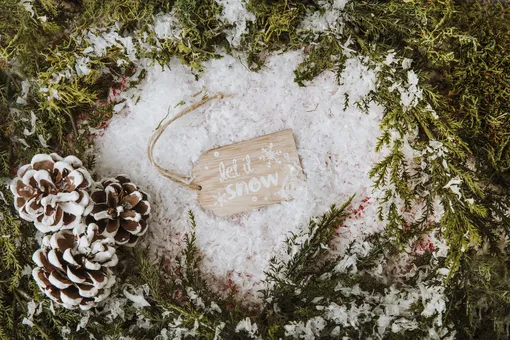 Como uno real, simplemente no se derrite: 5 recetas simples de "nieve" para la decoración del año nuevo