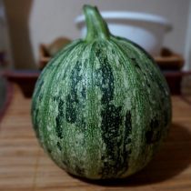 El calabacín redondo es una alternativa deliciosa al tradicional. Cultivo, cosecha y las mejores variedades. Foto