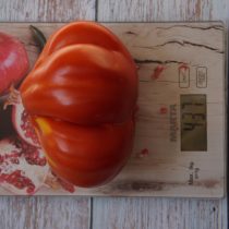 Las mejores variedades de tomates grandes con fluidez que recomiendo a todos. Foto