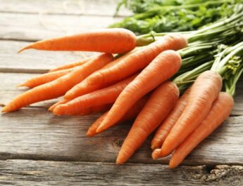 ¿Cómo almacenar las zanahorias correctamente? En la bodega. En casa en invierno. Foto