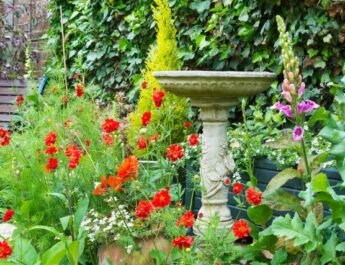 Las mejores plantas para un jardín de flores en suelo ácido. Descripción, ventajas, fotos